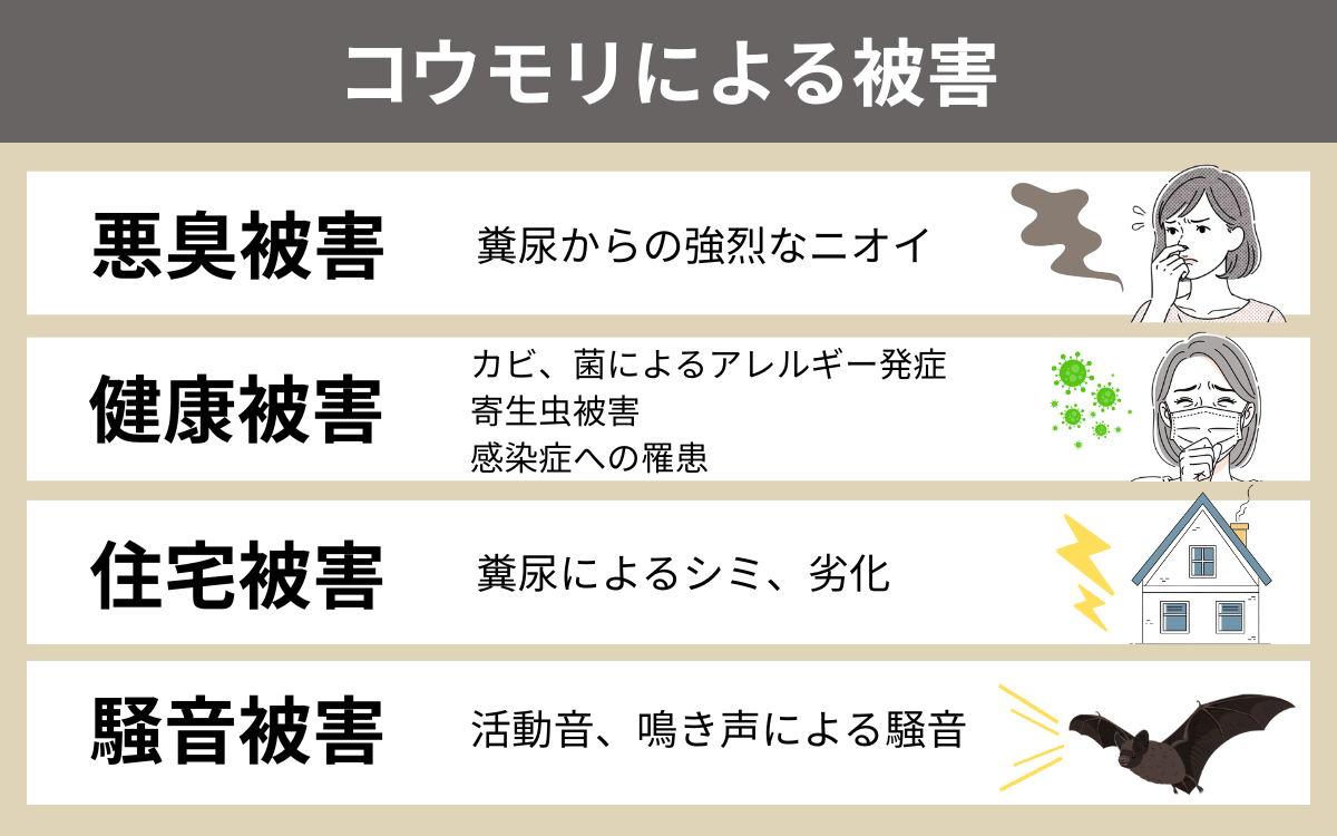 コウモリによる被害