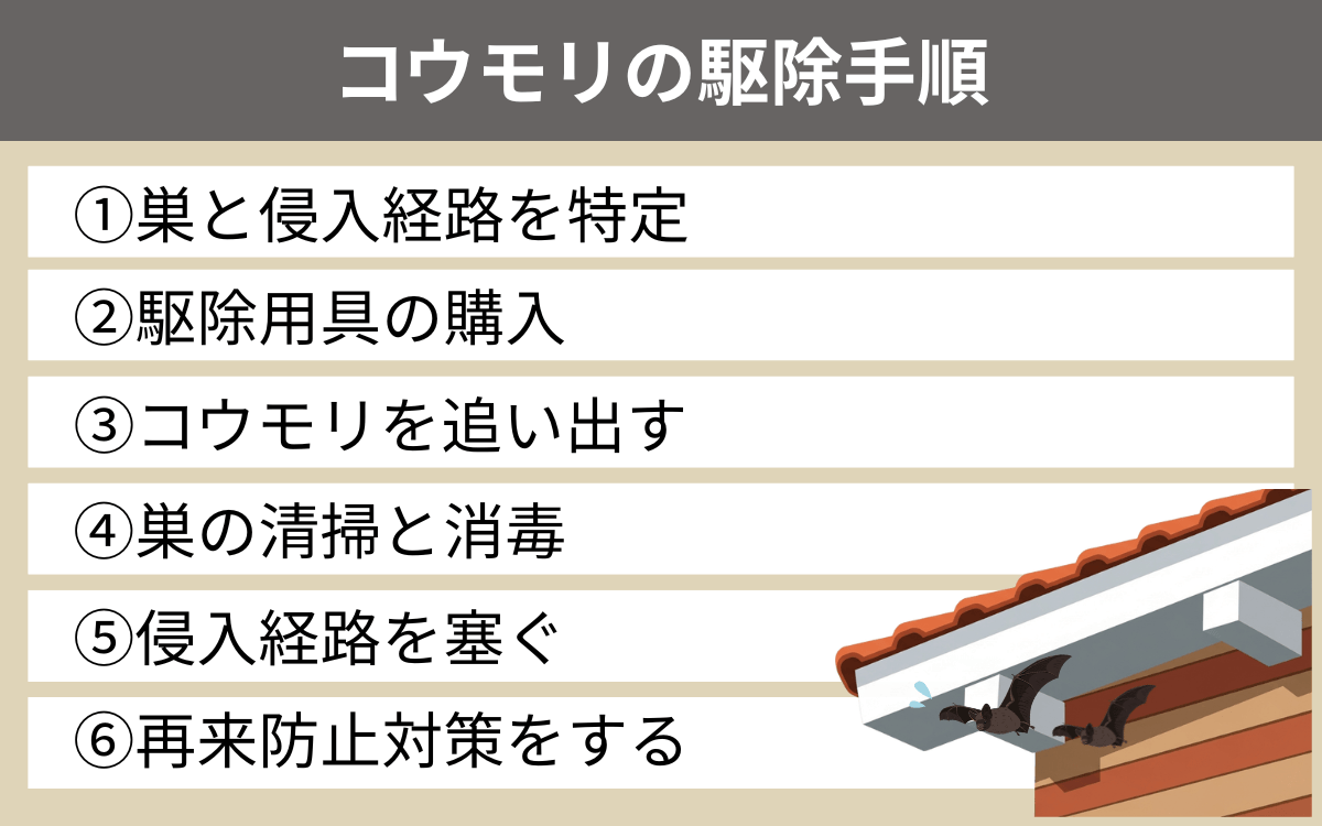 コウモリの駆除手順 1