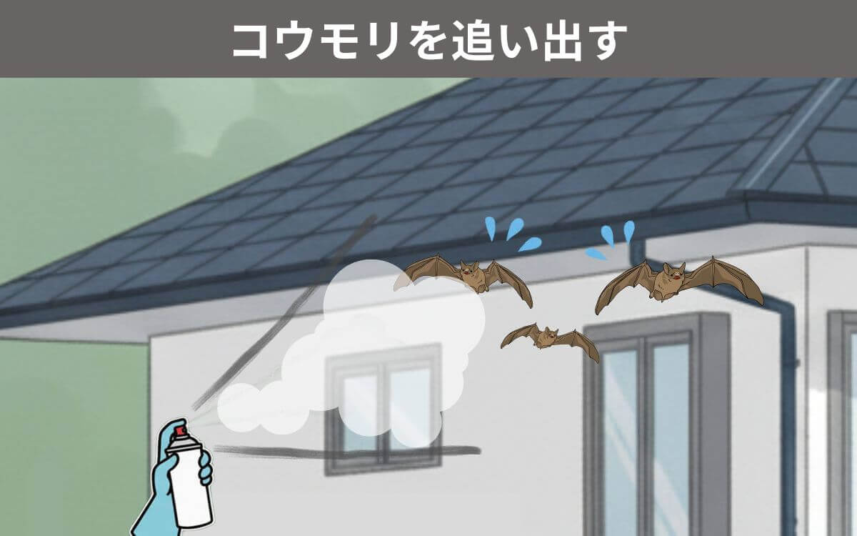 コウモリを追い出す