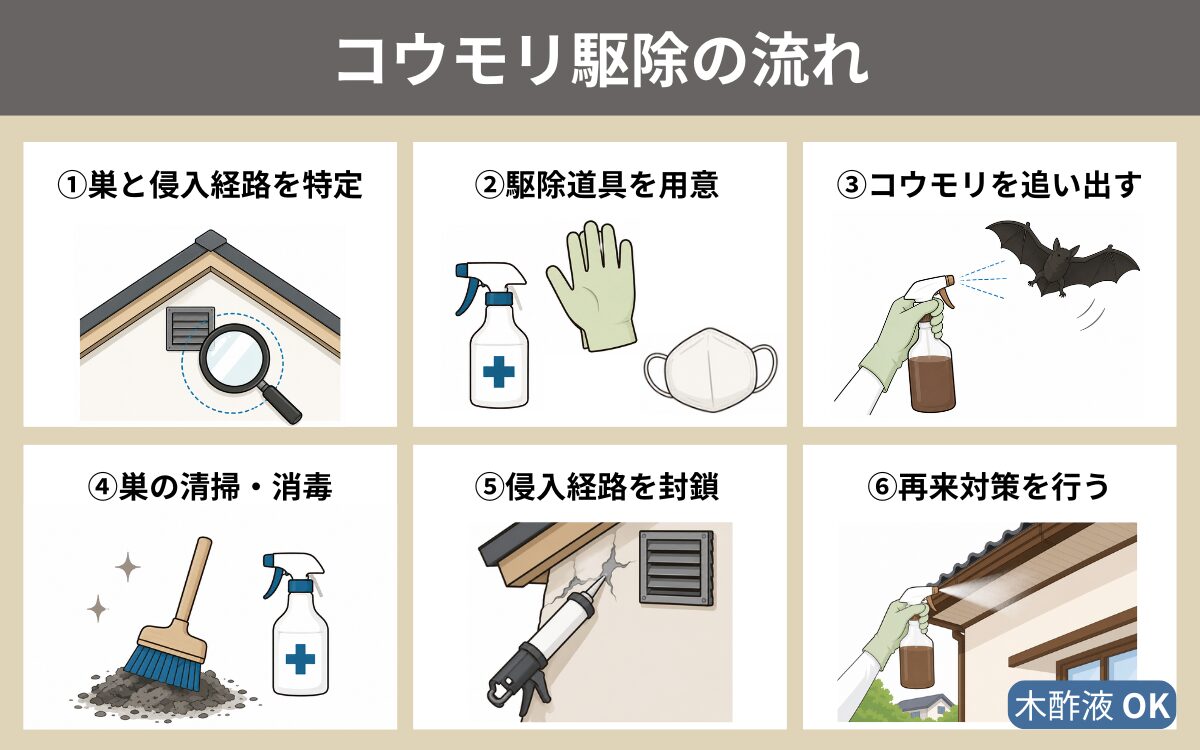コウモリ駆除の手順