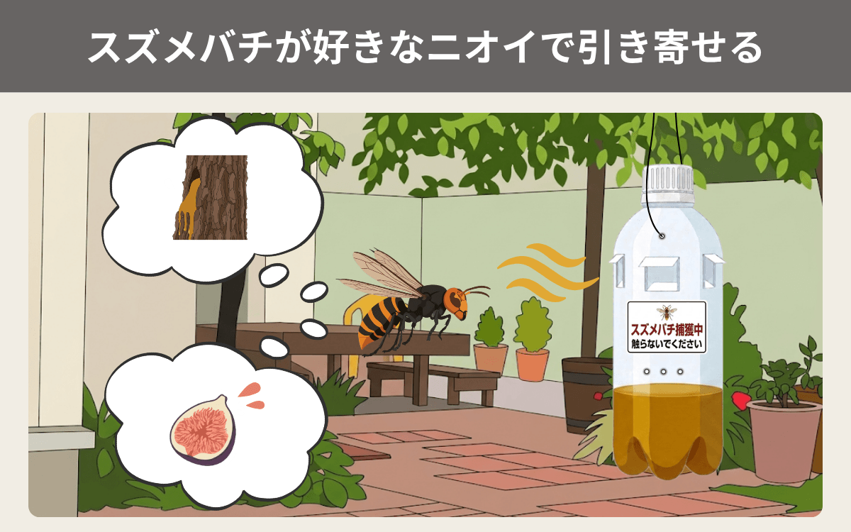 スズメバチが好きなニオイで引き寄せる