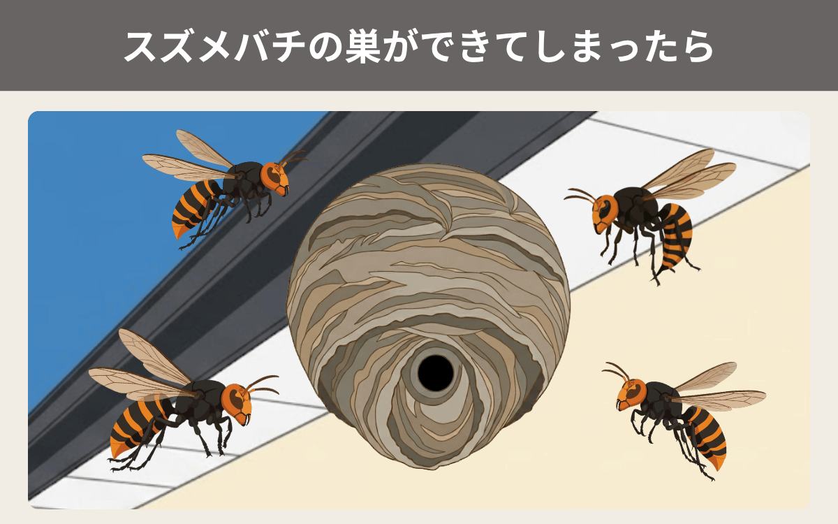 スズメバチの巣ができてしまったら