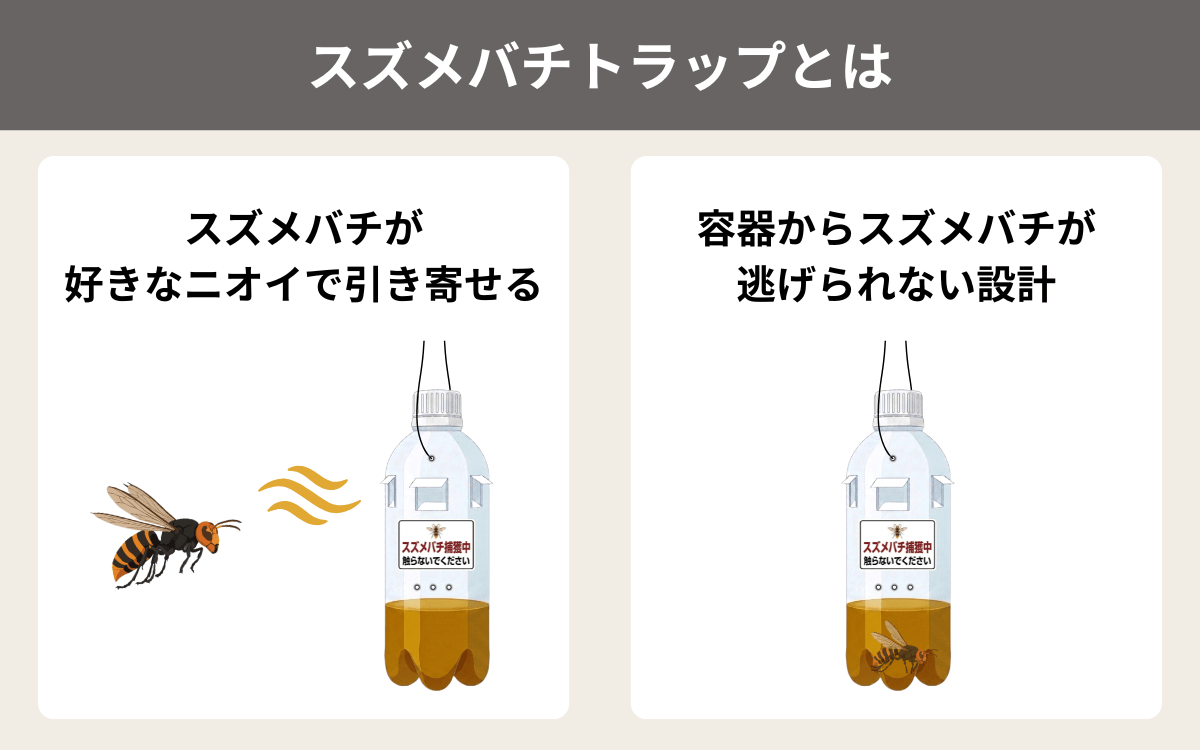 スズメバチトラップとは