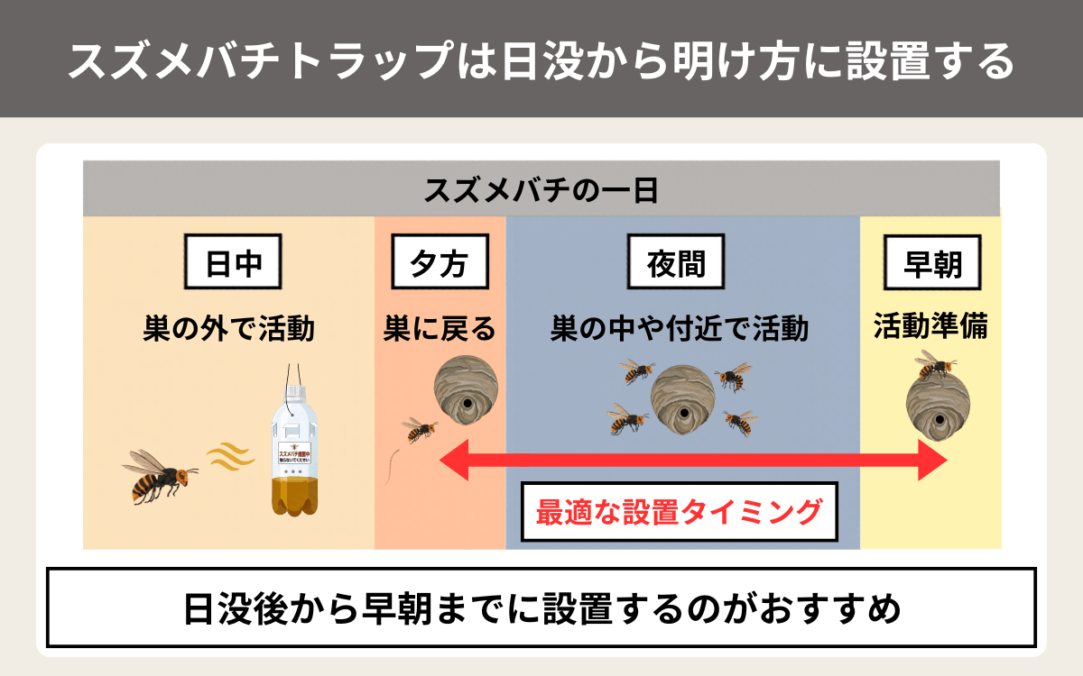 スズメバチトラップは日没から明け方に設置する