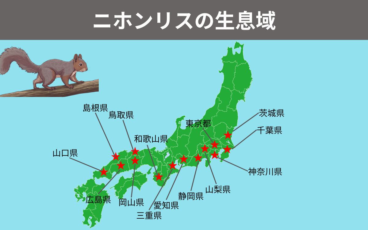 ニホンリスの生息域