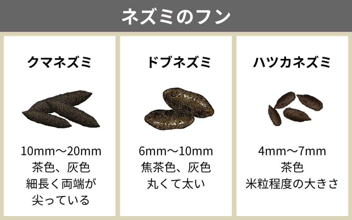 ネズミのフン