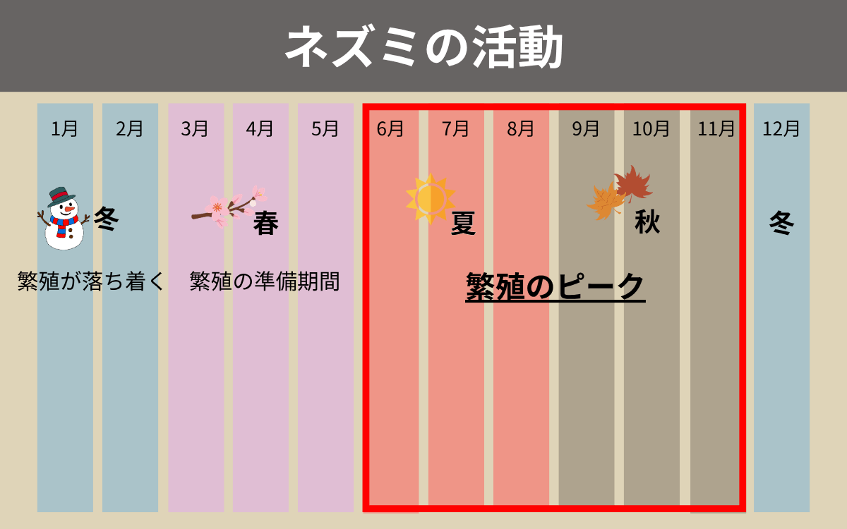 ネズミの活動