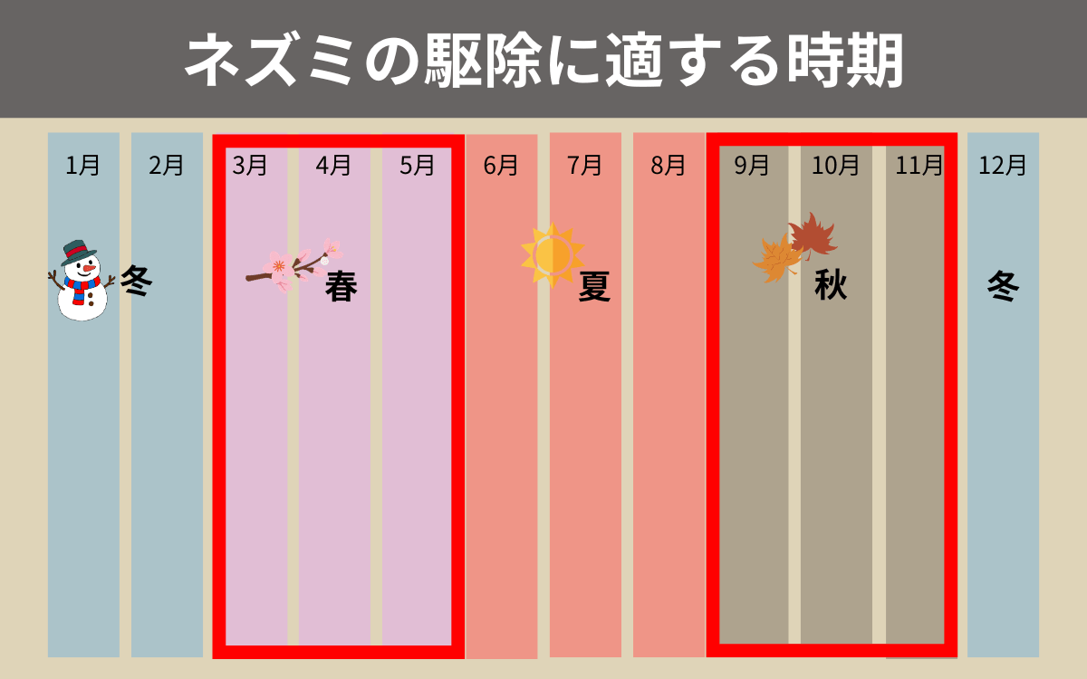 ネズミの駆除に適する時期