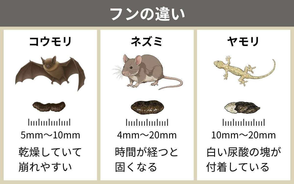 フンの違い