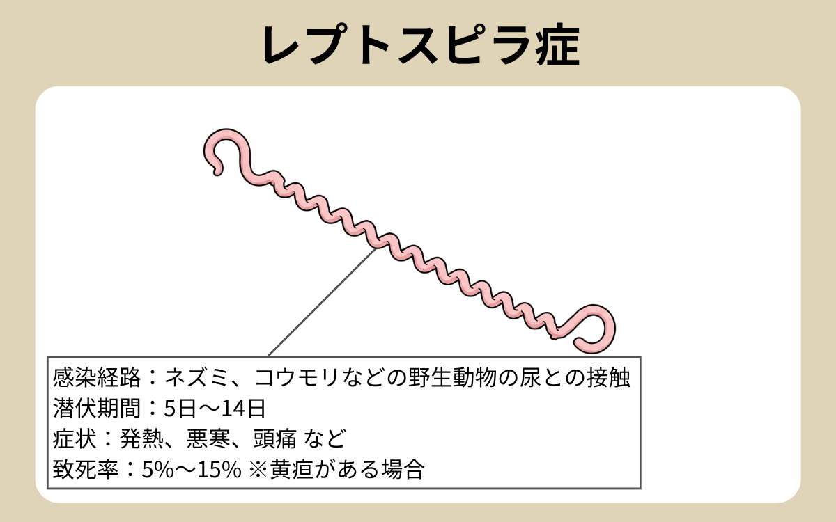 レプトスピラ症