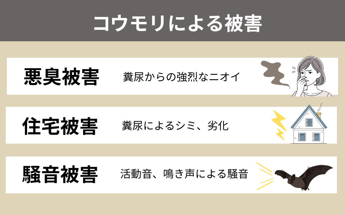 健康被害以外のコウモリによる被害