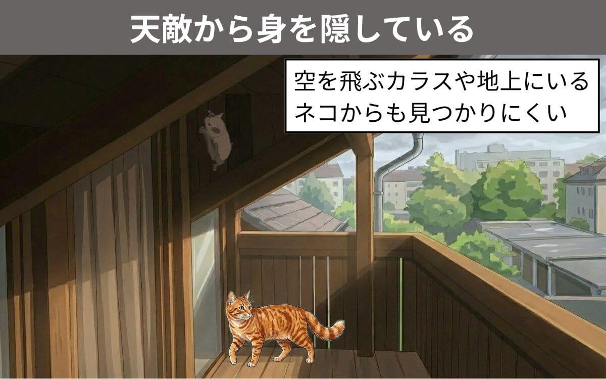 天敵から身を隠すため