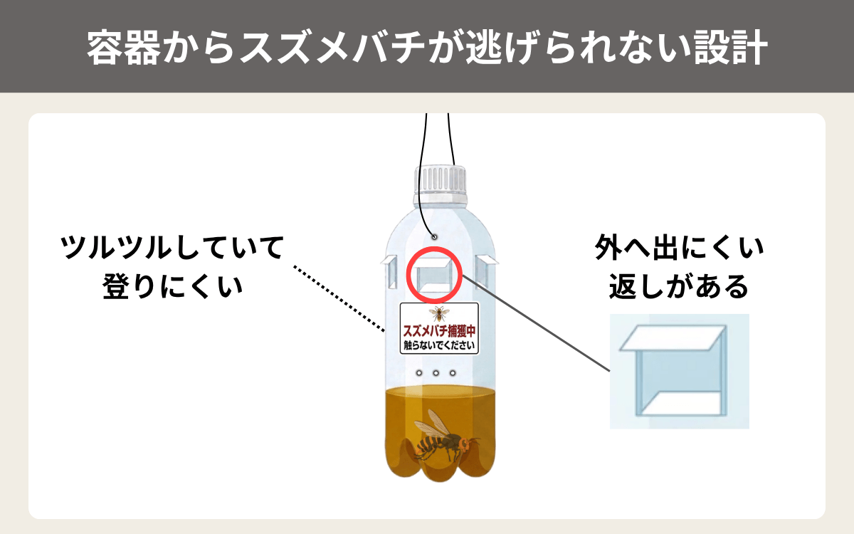 容器からスズメバチが逃げられない設計