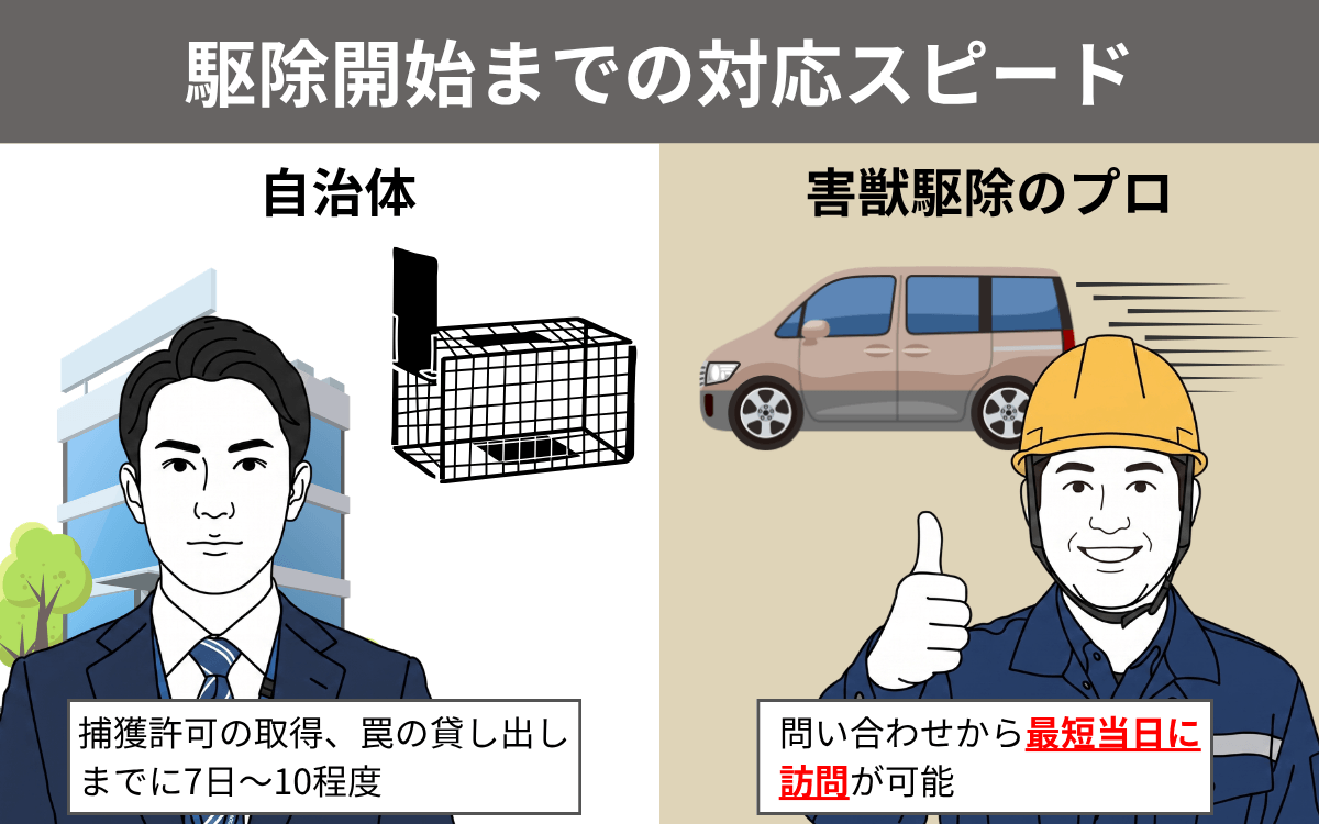 対応のスピード