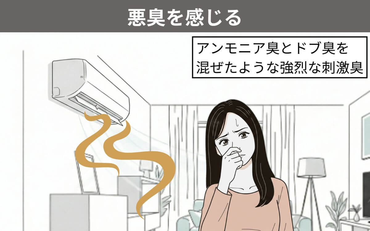 悪臭を感じる 1