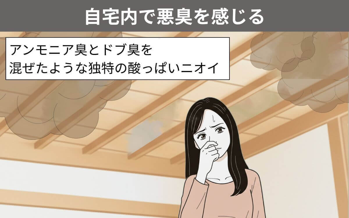 悪臭を感じる