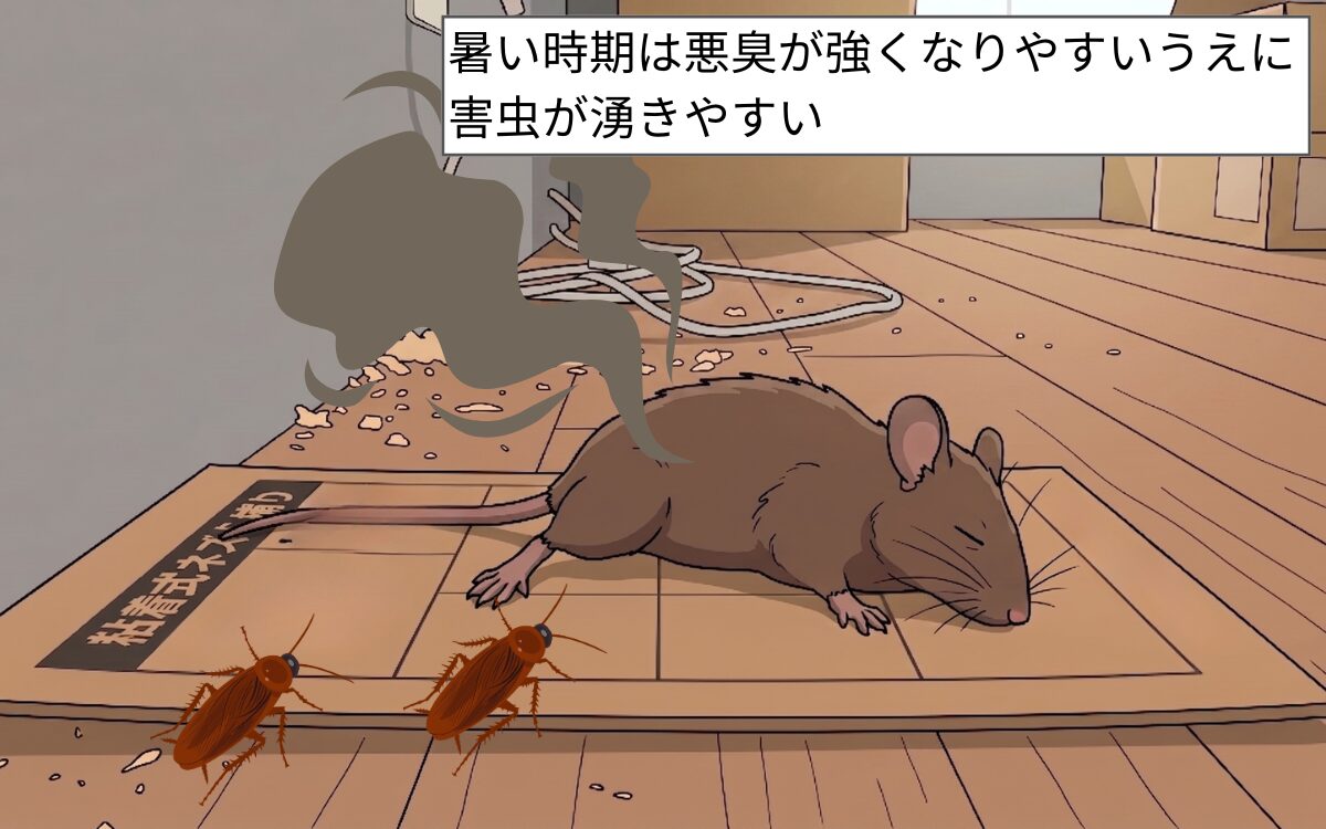 捕獲・殺処分は悪臭と害虫被害の原因に