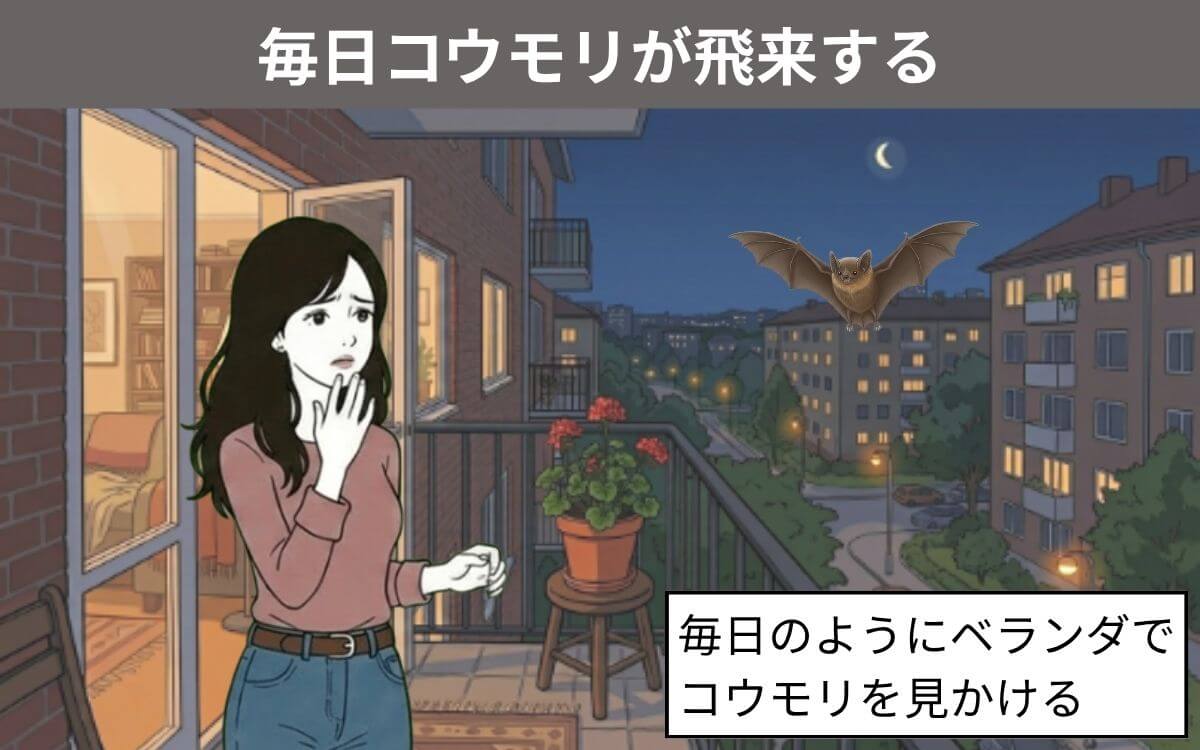 毎日コウモリが飛来する