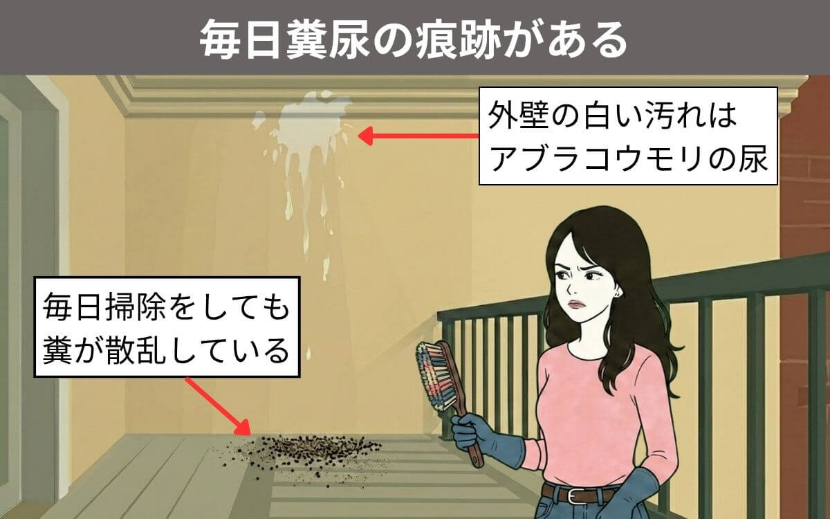 毎日糞尿の痕跡がある