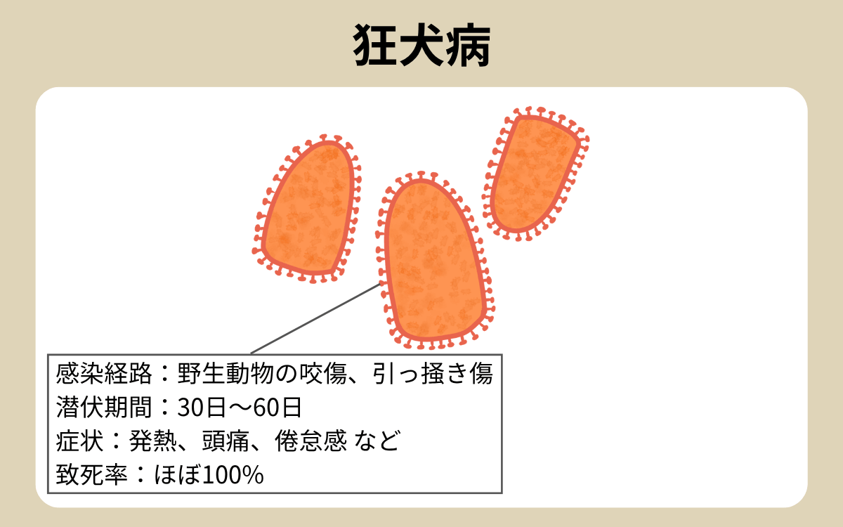 狂犬病