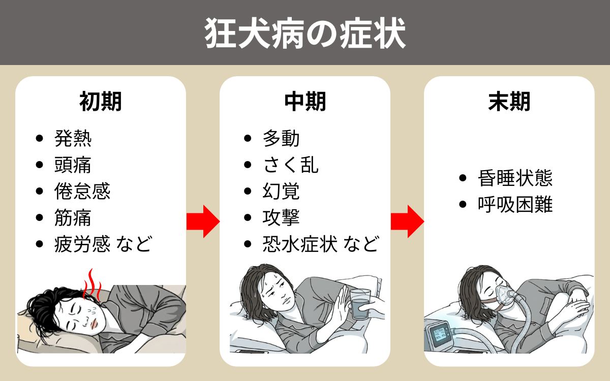 狂犬病の症状