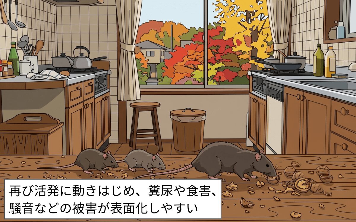 秋のネズミ