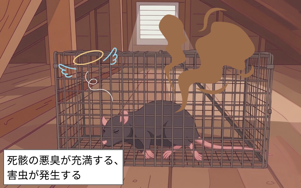粘着シート・捕獲器の設置