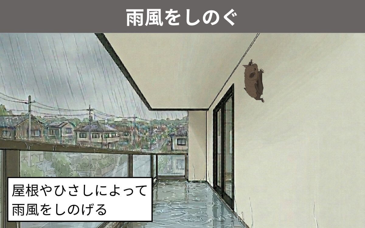 雨風をしのぐため