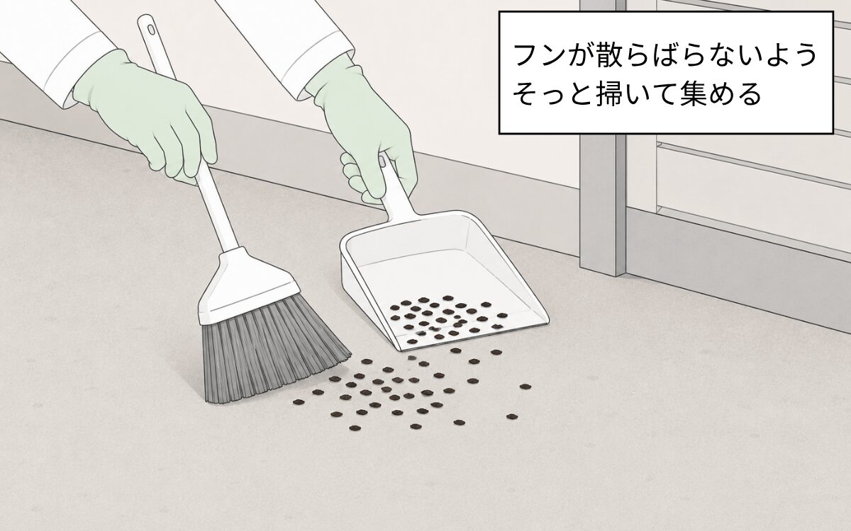 ホウキとちりとりでフンを集める