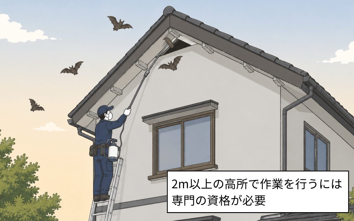2m以上の駆除は資格が必要