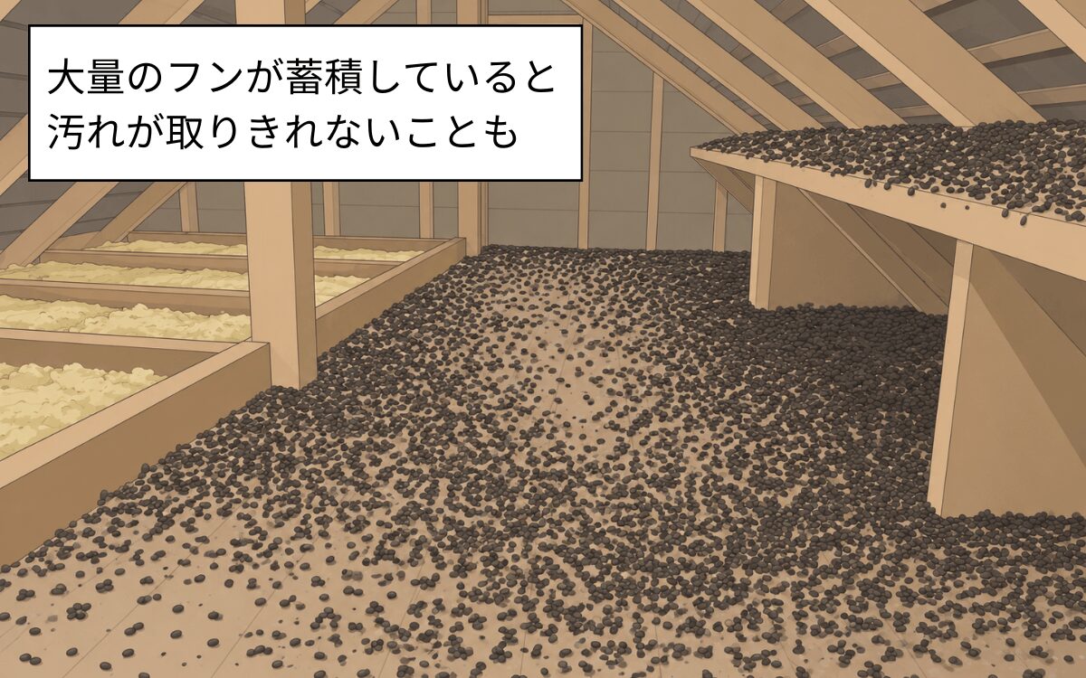 大量の糞尿が蓄積している屋根裏