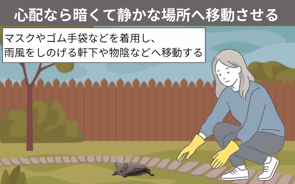 心配なら暗くて静かな場所へ移動させる