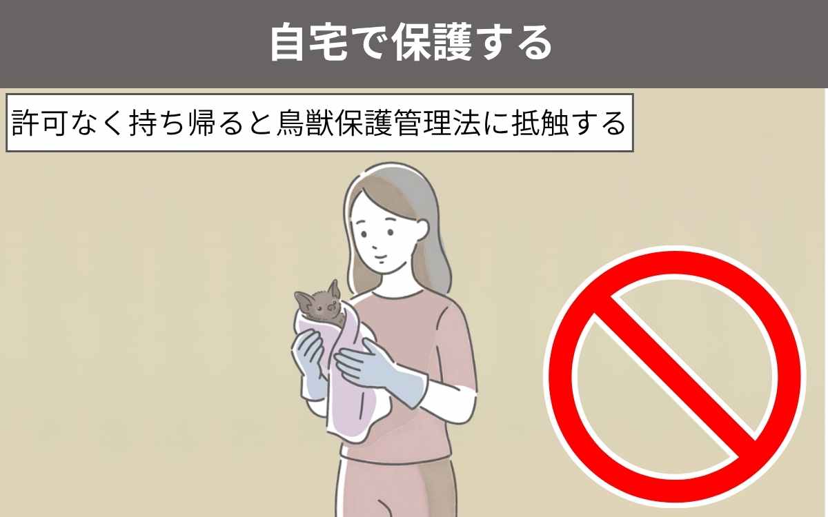 自宅で保護する