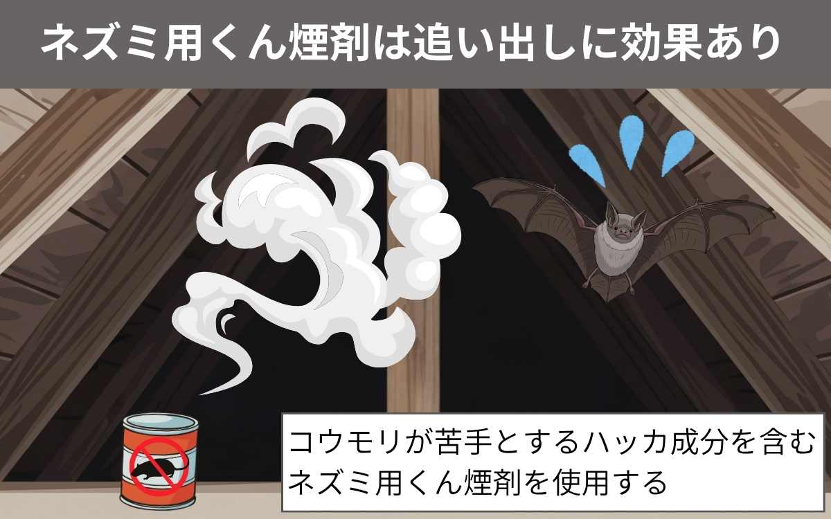 ネズミ用くん煙剤は追い出しに効果あり