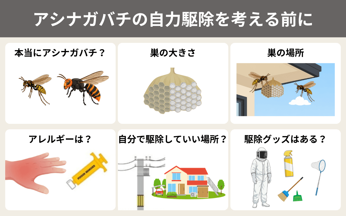 アシナガバチがつくった巣の自力駆除を考える前に