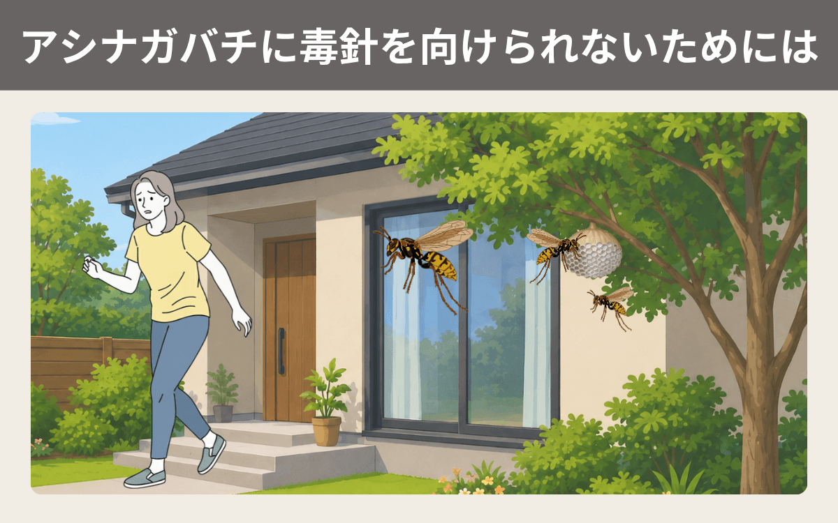 アシナガバチに毒針を向けられないためには