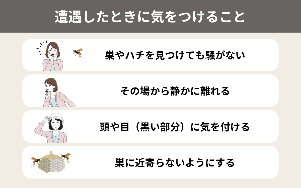 アシナガバチに遭遇したときに気をつけること