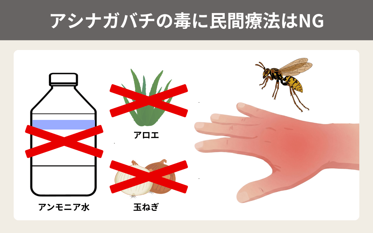 アシナガバチの毒に民間療法はNG