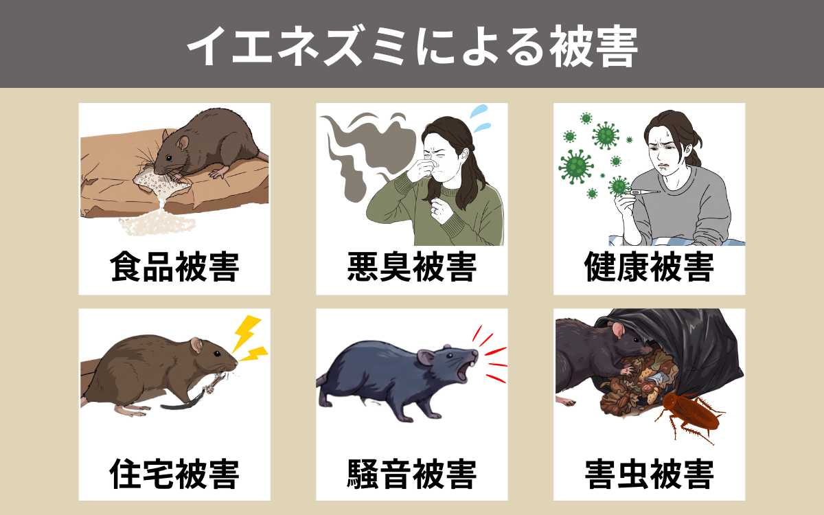 イエネズミによる被害