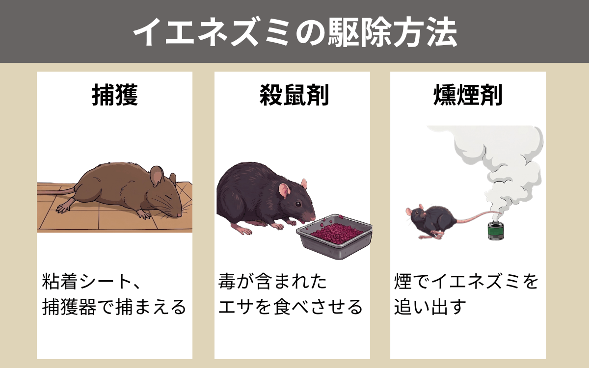 イエネズミの駆除方法