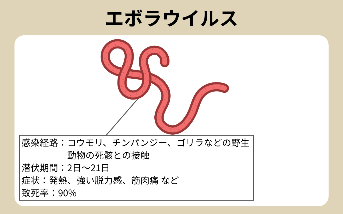 エボラウイルス