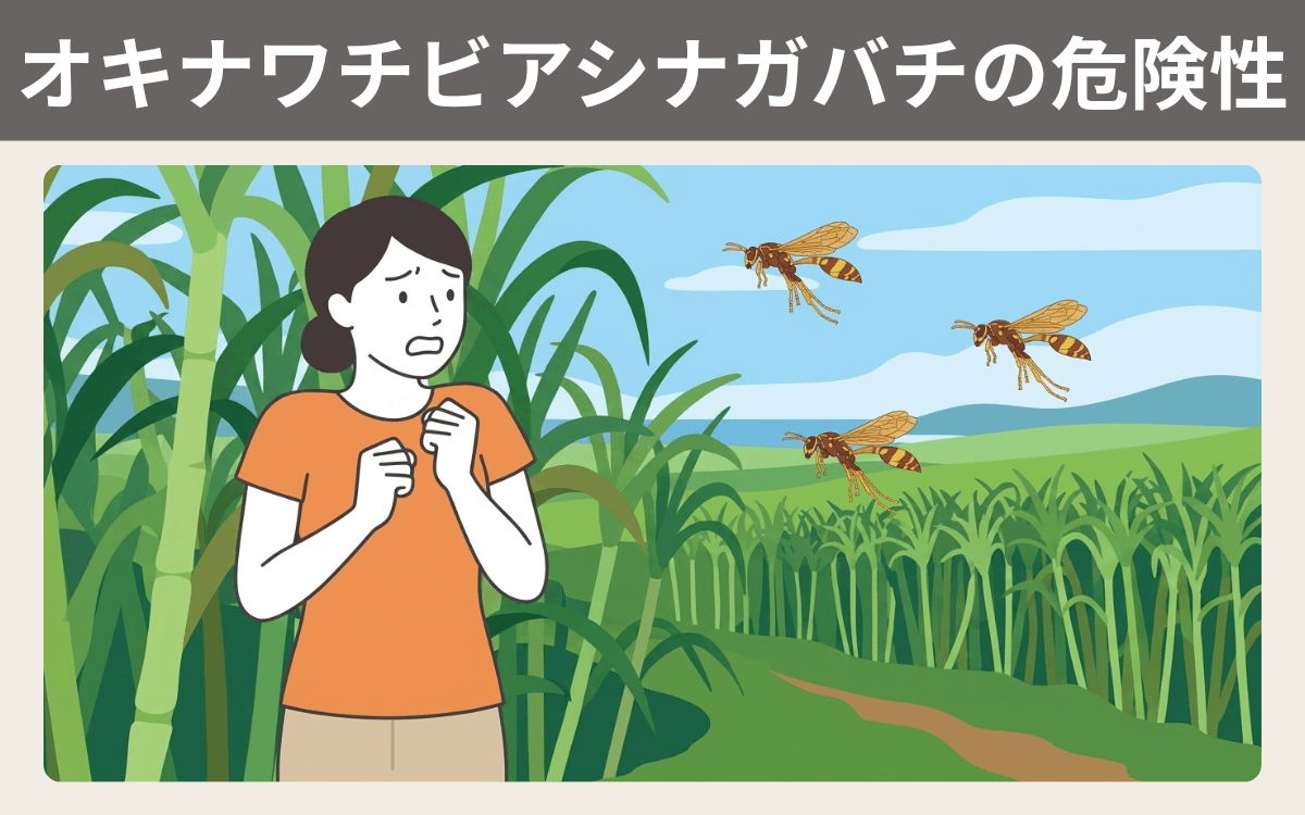 オキナワチビアシナガバチの危険性