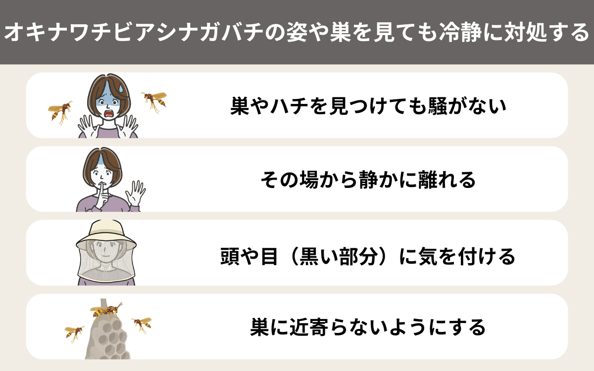 オキナワチビアシナガバチの姿や巣を見ても冷静に対処する