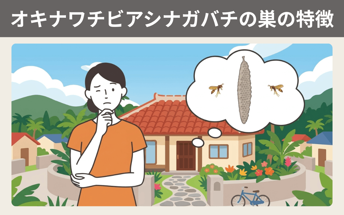 オキナワチビアシナガバチの巣の特徴
