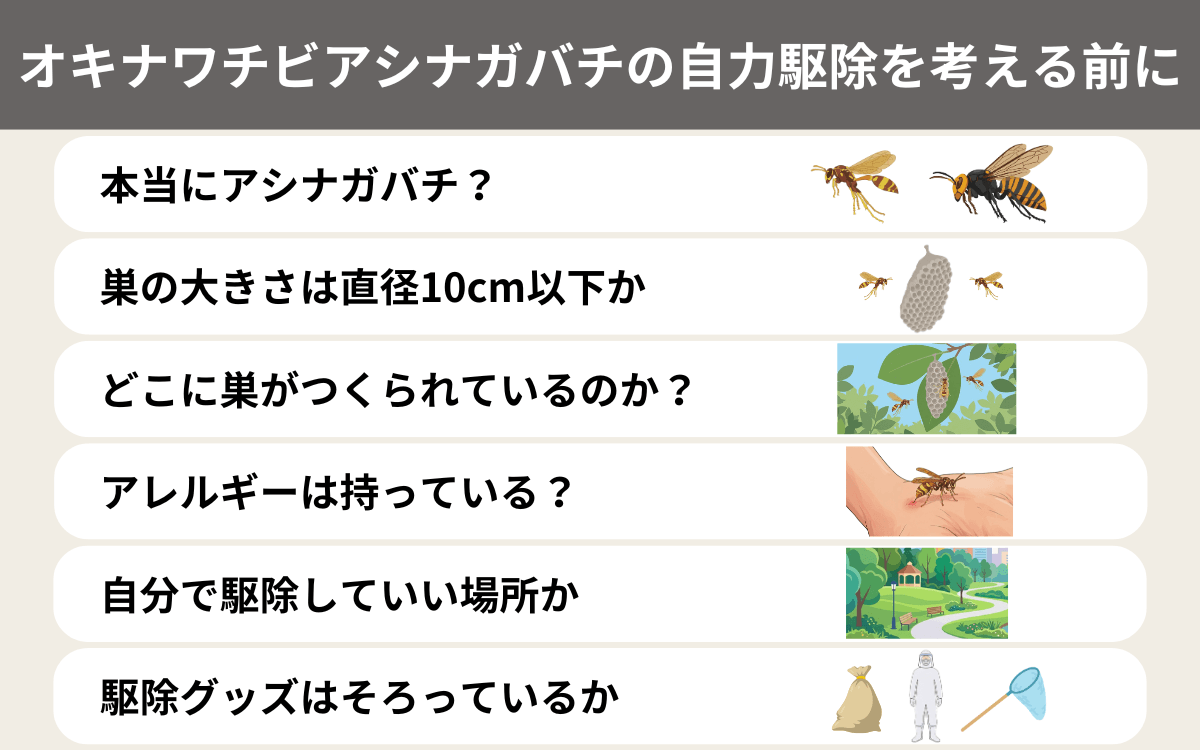 オキナワチビアシナガバチの自力駆除を考える前に