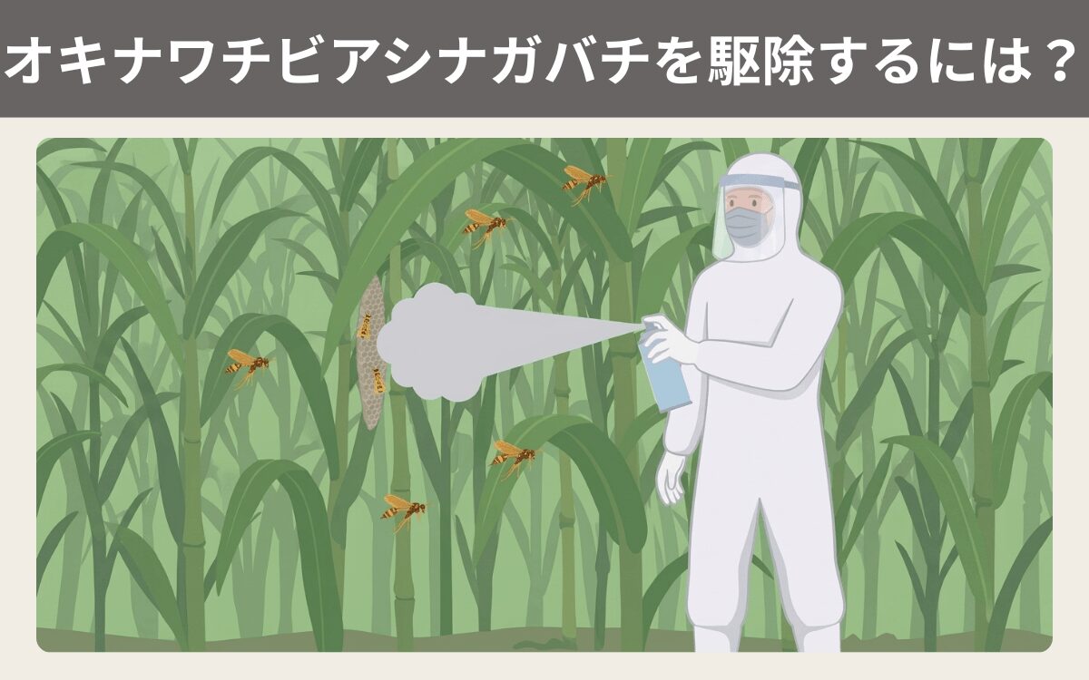 オキナワチビアシナガバチを駆除するには？