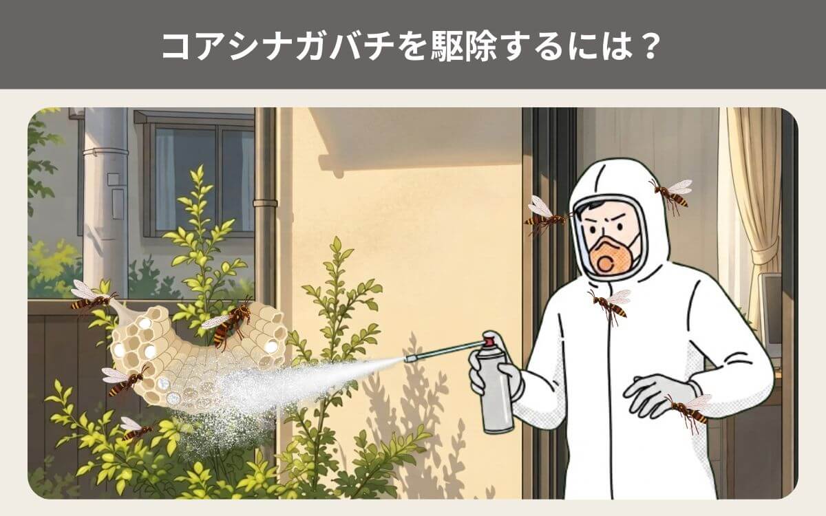 コアシナガバチを駆除するには