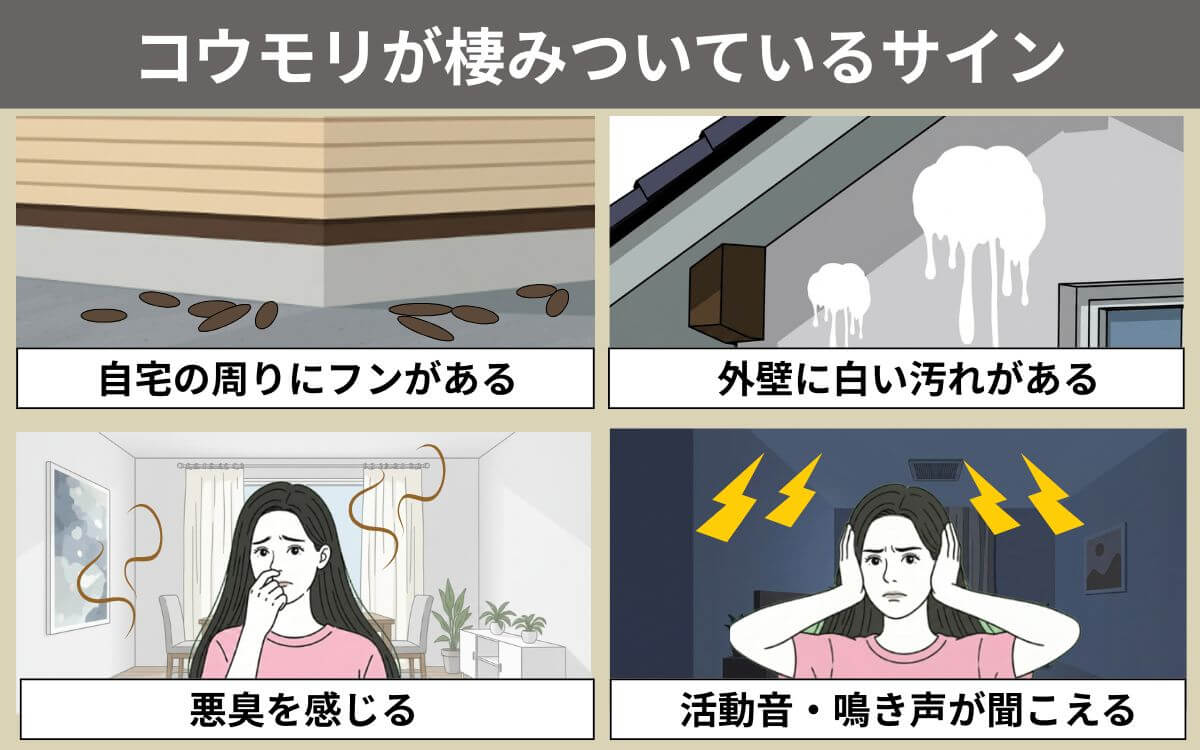 コウモリが棲みついているサイン