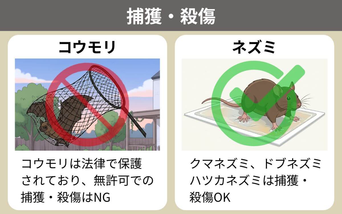 コウモリとネズミの捕獲殺傷について