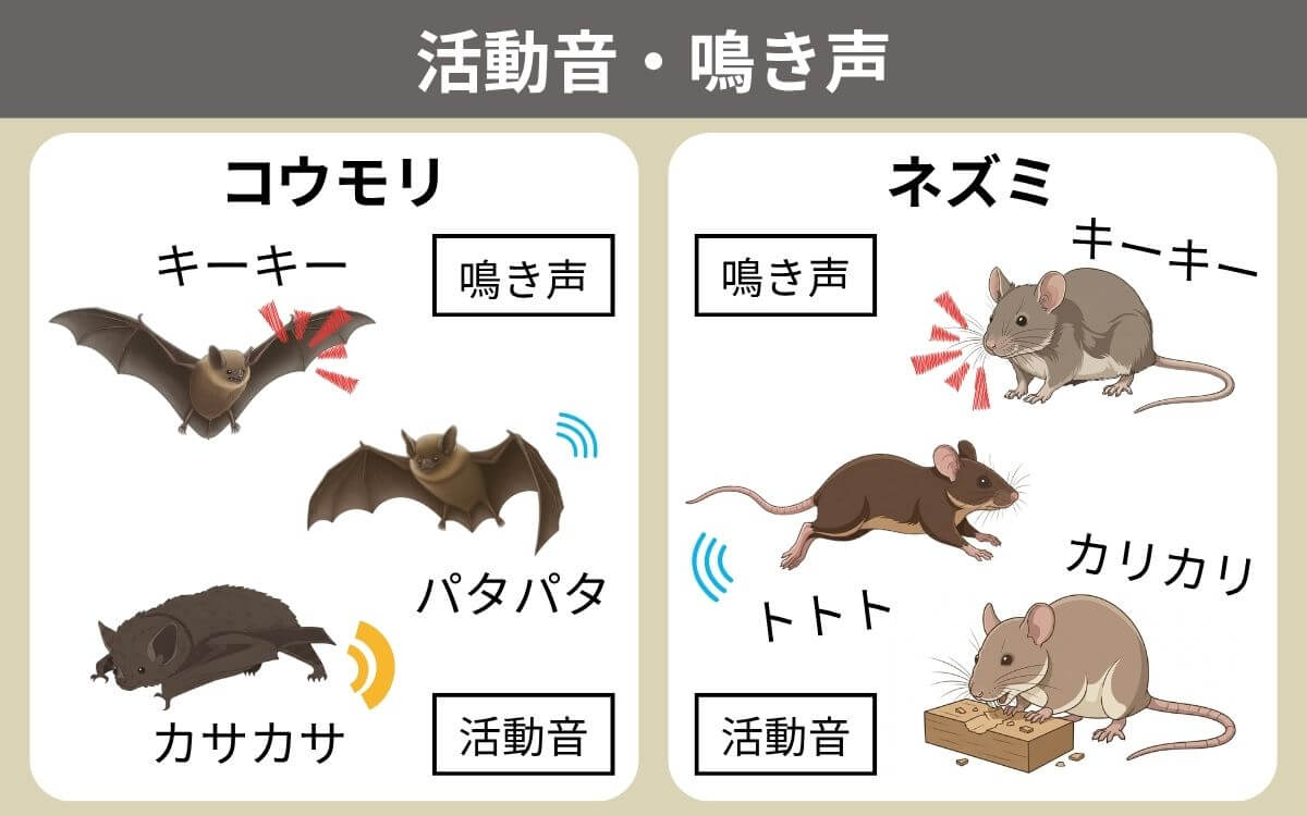 コウモリとネズミの活動音・鳴き声の違い
